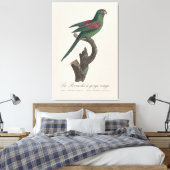Tovi-parkiet, Brotogeris jugularis Canvas Afdruk (Insitu (Slaapkamer))