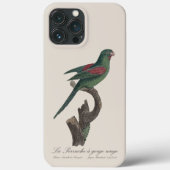 Tovi-parkiet, Brotogeris jugularis Case-Mate iPhone Case (Achterkant)