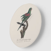 Tovi-parkiet, Brotogeris jugularis Grote Klok (Hoek)