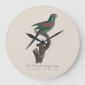 Tovi-parkiet, Brotogeris jugularis Grote Klok (Voorkant)