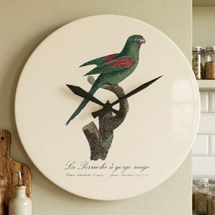 Tovi-parkiet, Brotogeris jugularis Grote Klok