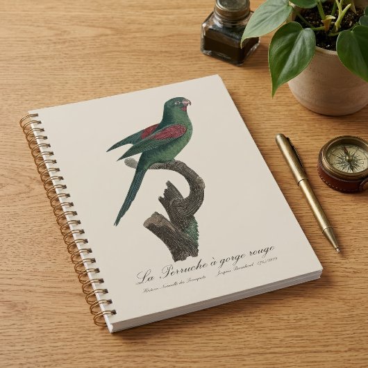 Tovi-parkiet, Brotogeris jugularis Planner