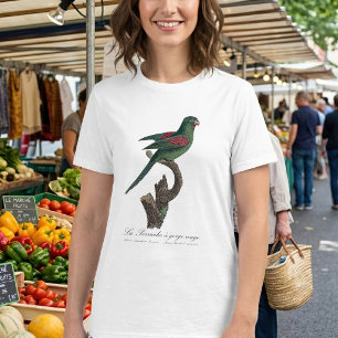 Tovi-parkiet, Brotogeris jugularis T-shirt
