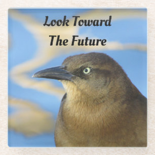 Toward Future Blackbird Stare Afstuderen Glazen Onderzetter