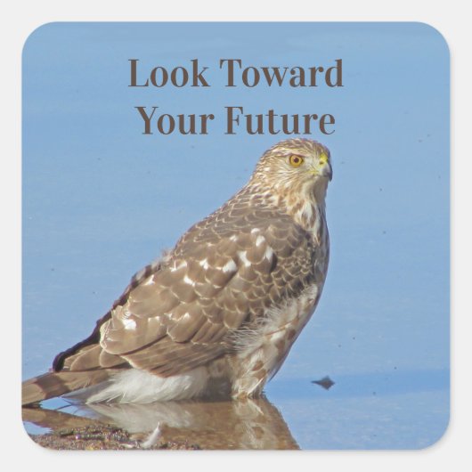 Toward Future Wild Raptor Bird Hawk Afstuderen Vierkante Sticker (Voorkant)
