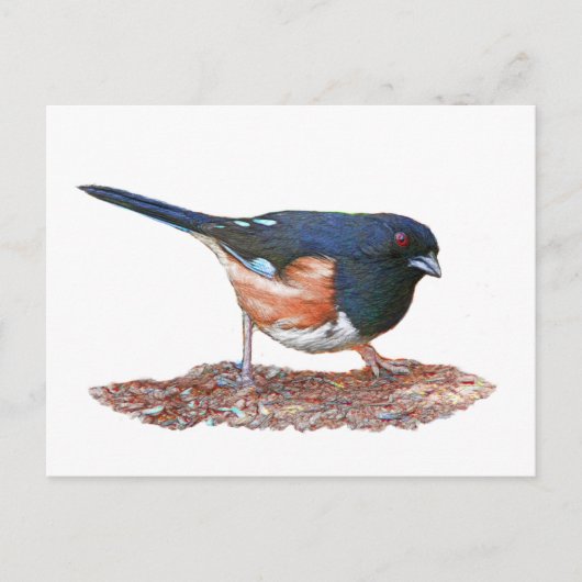 Towee Briefkaart (Voorkant)