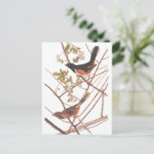 Towee Bunting Audubon Black en Oranje Song Birds Briefkaart (Staand voorkant)