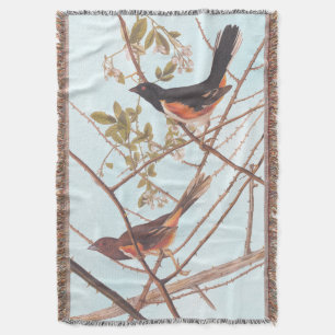 Towee Bunting Audubon Black en Oranje Song Birds Deken
