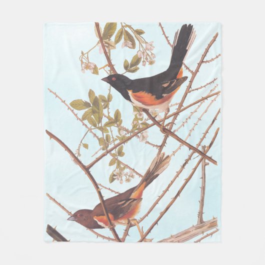 Towee Bunting Audubon Black en Oranje Song Birds Fleece Deken (Voorkant)