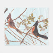 Towee Bunting Audubon Black en Oranje Song Birds Fleece Deken (Voorkant (Horizontaal))