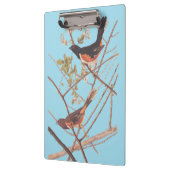 Towee Bunting Audubon Black en Oranje Song Birds Klembord (Links)