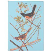 Towee Bunting Audubon Black en Oranje Song Birds Klembord (Achterkant)