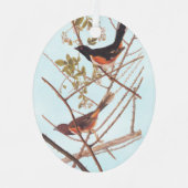 Towee Bunting Audubon Black en Oranje Song Birds Metalen Ornament (Voorkant)