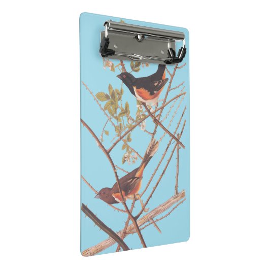 Towee Bunting Audubon Black en Oranje Song Birds Mini Klembord (Schuin)