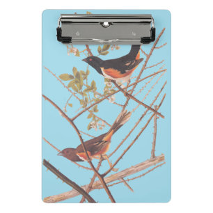 Towee Bunting Audubon Black en Oranje Song Birds Mini Klembord