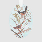 Towee Bunting Audubon Black en Oranje Song Birds Ornament (achterkant)