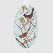 Towee Bunting Audubon Black en Oranje Song Birds Ornament (voorkant)