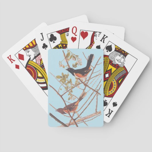 Towee Bunting Audubon Black en Oranje Song Birds Pokerkaarten (Achterkant)