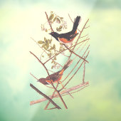 Towee Bunting Audubon Black en Oranje Song Birds Raamsticker (Vel 3)