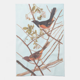 Towee Bunting Audubon Black en Oranje Song Birds Theedoek