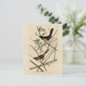 Towee Bunting (Eastern Towee) van Audubon's vogels Briefkaart (Staand voorkant)