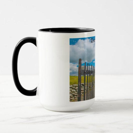 Tower 2020 bij Old Kilcullen Mok (Links)