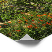 Tower in Rabat, Marokko Poster (Hoek)