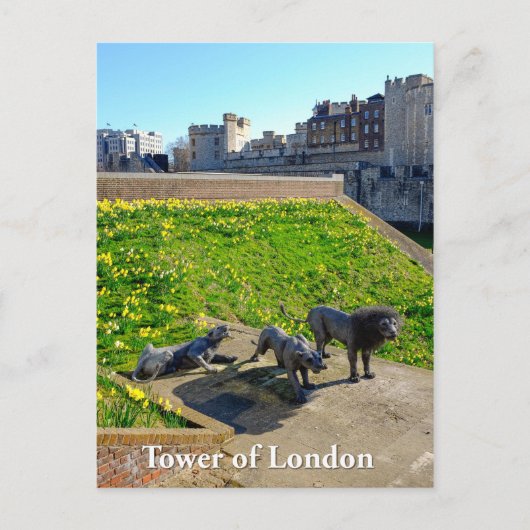 Tower of London, Engeland Briefkaart (Voorkant)