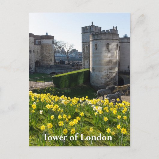 Tower of London, Engeland Briefkaart (Voorkant)