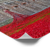 Tower Of London Poppies Red Poppy Poster (Hoek)