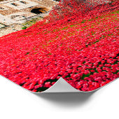 Tower Of London Poppies Red Poppy Poster (Hoek)