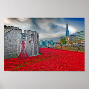 Tower of London Red Poppies England Verenigd Konin Poster