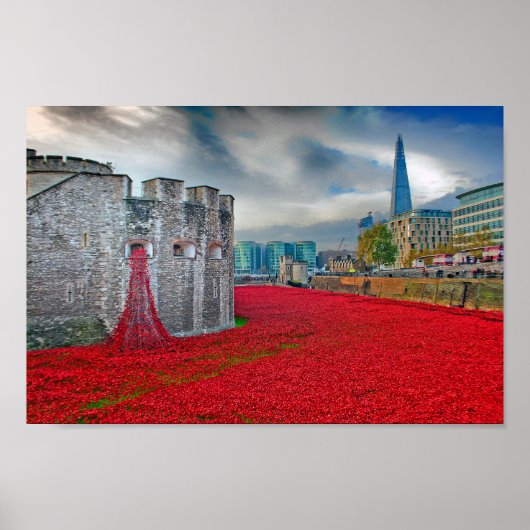 Tower of London Red Poppies England Verenigd Konin Poster (Voorkant)