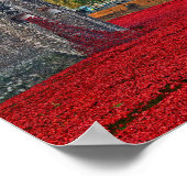 Tower of London Red Poppies England Verenigd Konin Poster (Hoek)