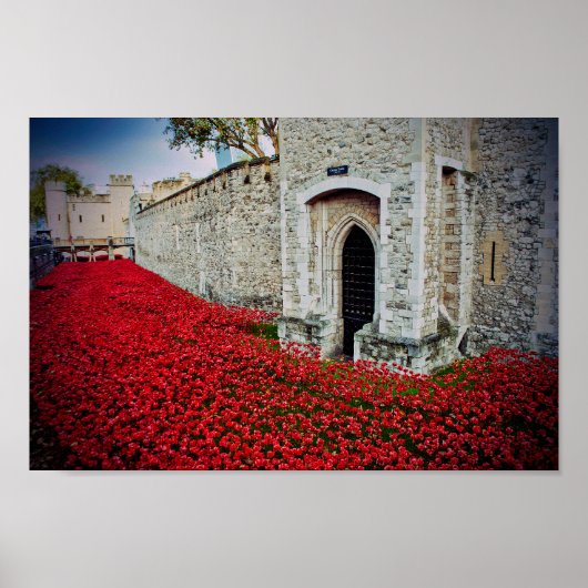 Tower of London Red Poppies England Verenigd Konin Poster (Voorkant)