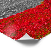 Tower of London Red Poppies Perfect Poster (Hoek)