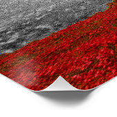 Tower of London Red Poppies Perfect Poster (Hoek)