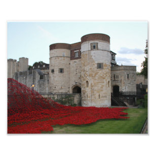 Tower van Londen met Bright Red Poppies Foto Afdruk
