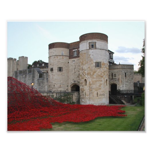 Tower van Londen met Bright Red Poppies Foto Afdruk (Voorkant)