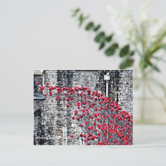 Tower van London Poppies Briefkaart (Staand voorkant)