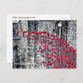 Tower van London Poppies Briefkaart (Voorkant / Achterkant)