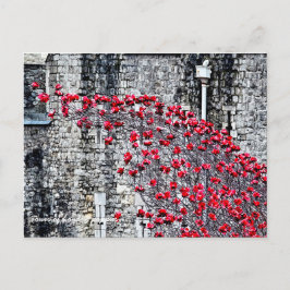 Tower van London Poppies Briefkaart