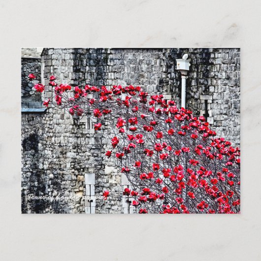 Tower van London Poppies Briefkaart (Voorkant)
