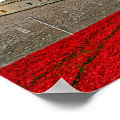 Tower van London Poppies Red Poppy Poster (Hoek)