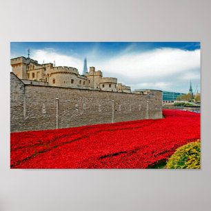 Tower van London Poppies Red Poppy Poster
