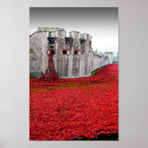 Tower van London Poppies Red Poppy Poster