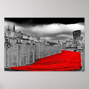 Tower van London Poppies Red Poppy Poster
