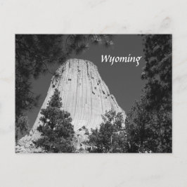 Tower voor zwarte en witte duivels briefkaart