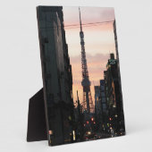 Tower - zondzonnettoren van Tokio 東 ワ ー 日 京 タ の Fotoplaat (Zijkant)