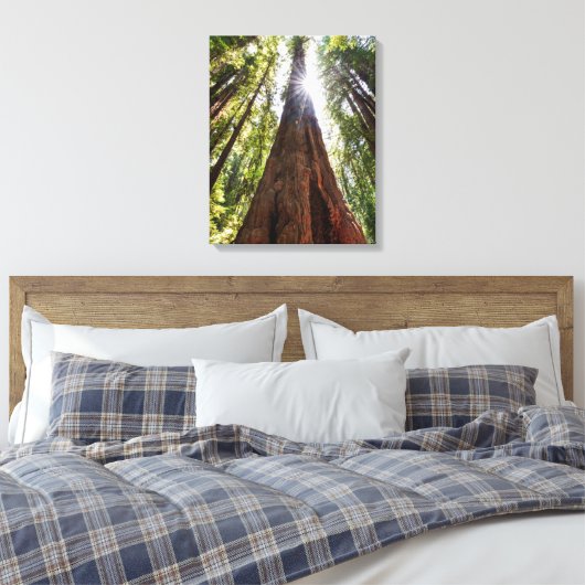 Towering Redwoods Canvas Afdruk (Insitu (Slaapkamer))
